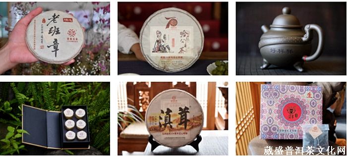 回顾||葳盛2019年大事记